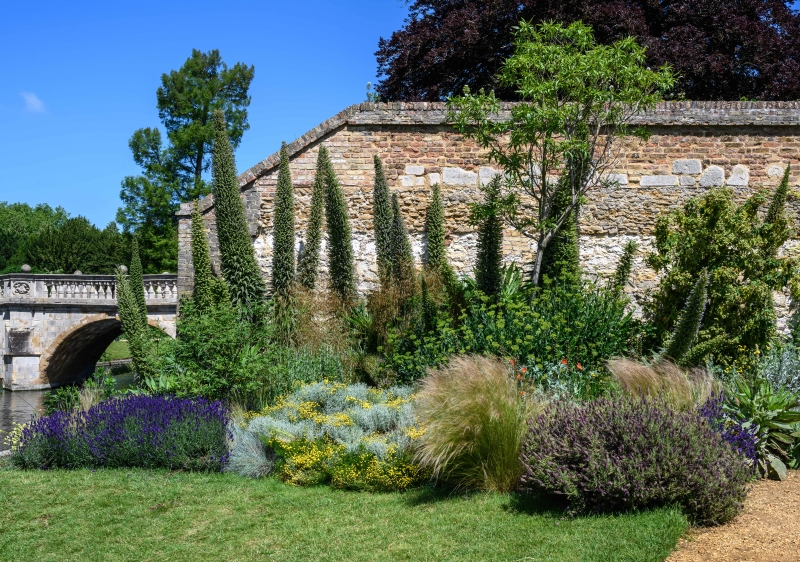 King's College Fellows' Garden and Provost's Garden